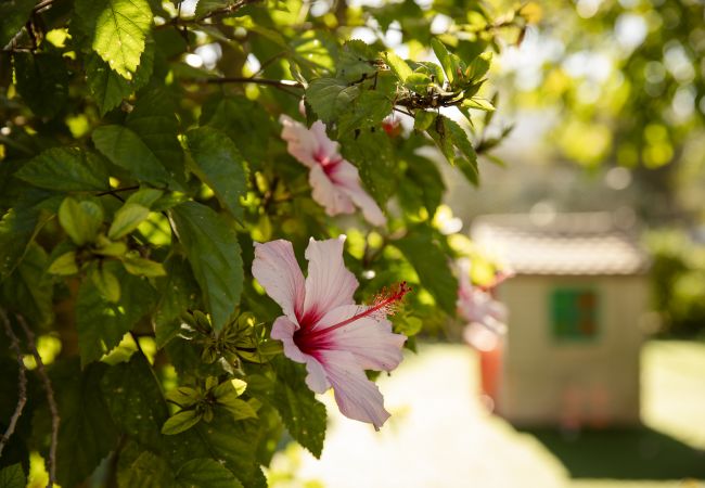 Villa in Felanitx - YourHouse Can Tries Villa in Felanitx - YourHouse Can Tries