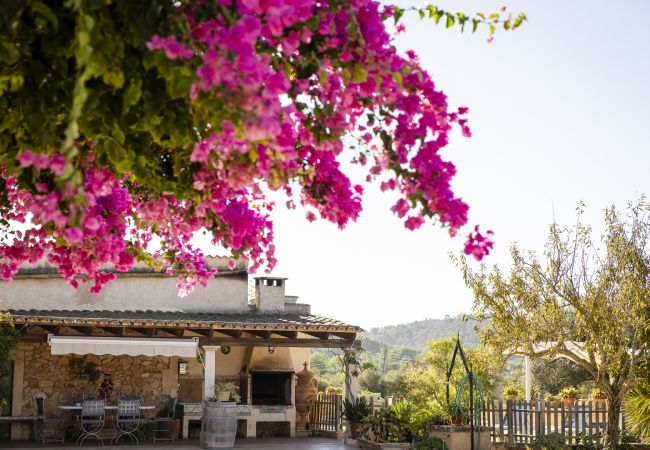 Villa in Felanitx - YourHouse Can Tries Villa in Felanitx - YourHouse Can Tries