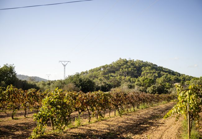 Villa in Felanitx - YourHouse Can Tries Villa in Felanitx - YourHouse Can Tries