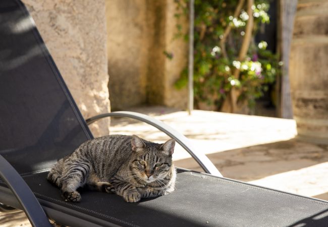 Villa in Felanitx - YourHouse Can Tries Villa in Felanitx - YourHouse Can Tries