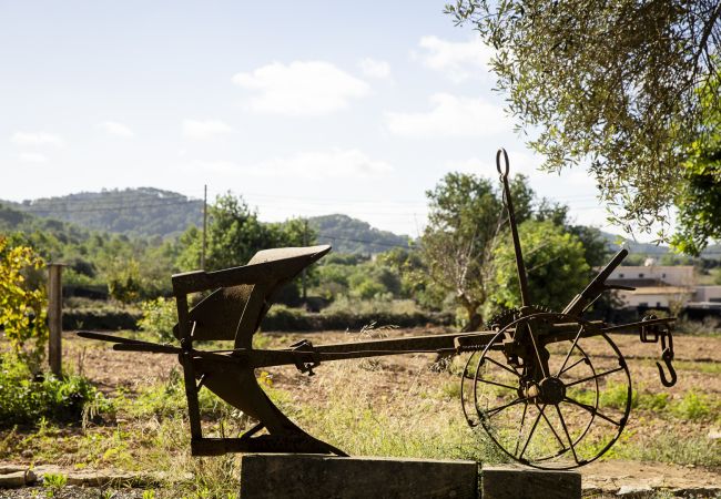 Villa in Felanitx - YourHouse Can Tries Villa in Felanitx - YourHouse Can Tries