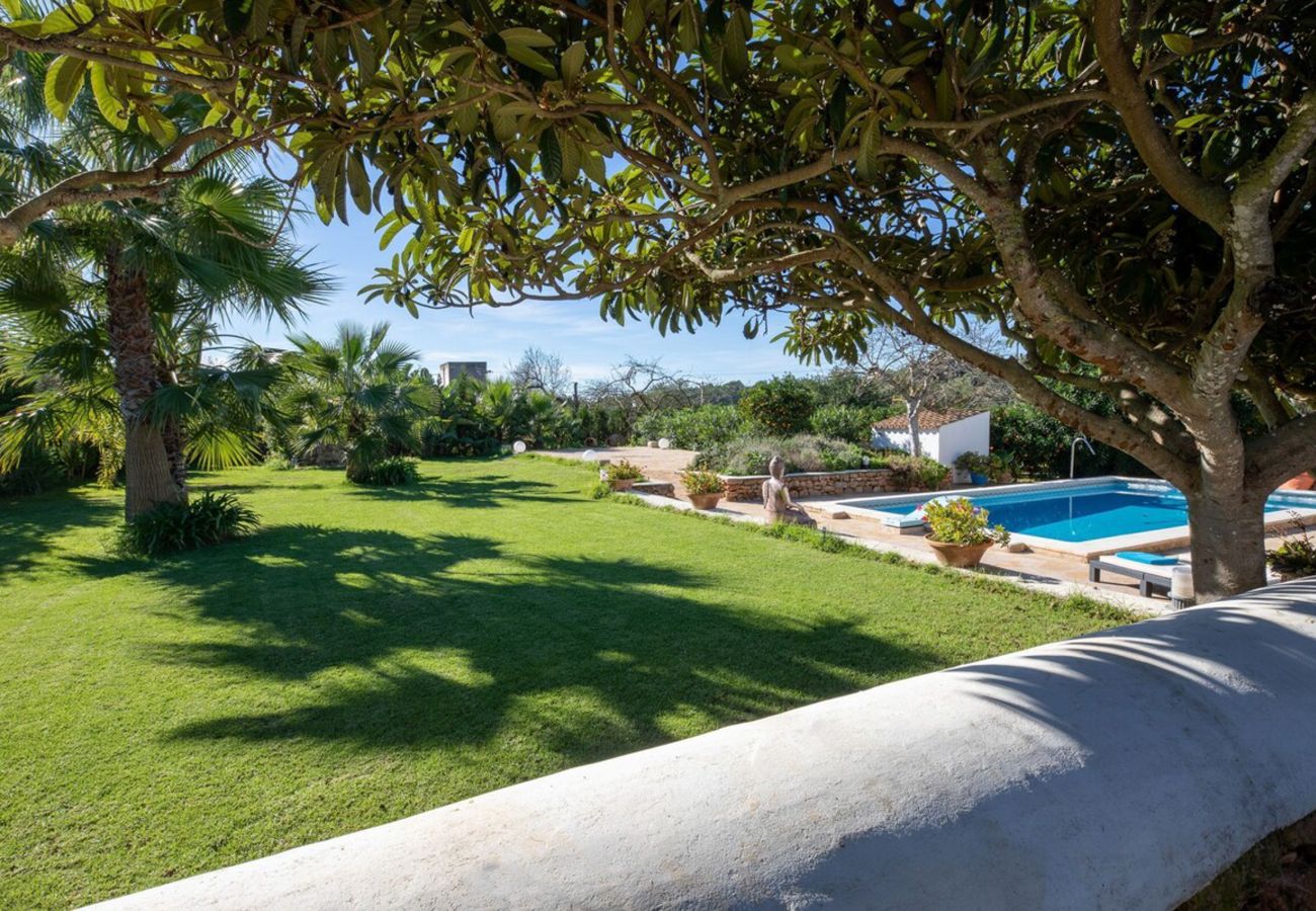 Villa in Port d´Alcudia - Rincon para testear