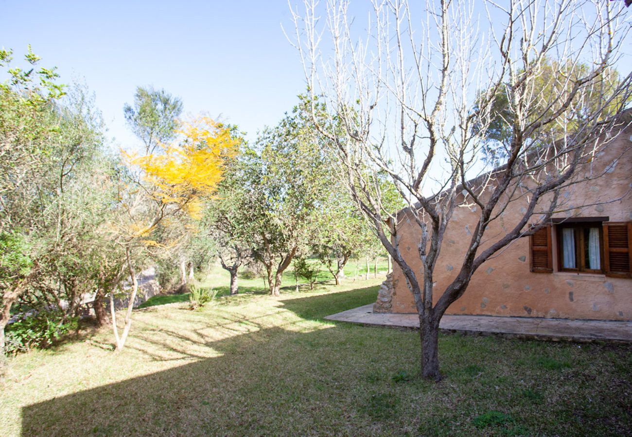 Country house in Sant Llorenç Des Cardassar - Hort de sa Begura, Finca 5StarsHome Mallorca