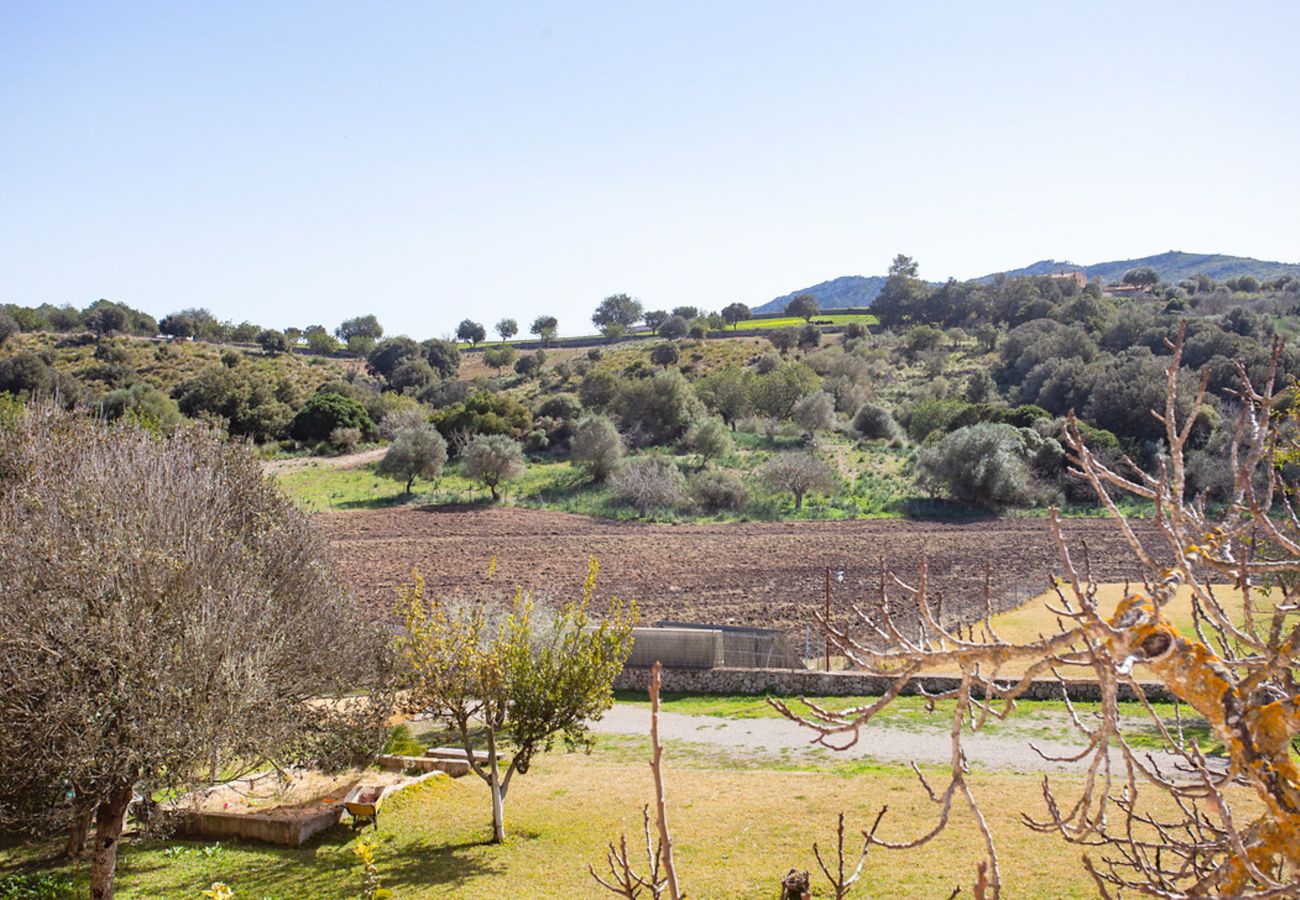 Country house in Sant Llorenç Des Cardassar - Hort de sa Begura, Finca 5StarsHome Mallorca