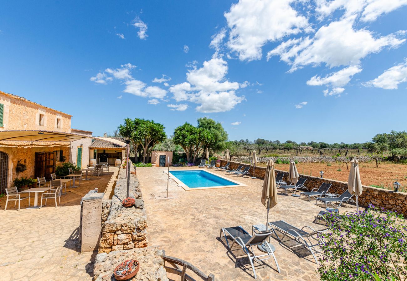 Apartment in Lloret de Vistalegre - YourHouse Agroturismo Can Porreti La Figuera