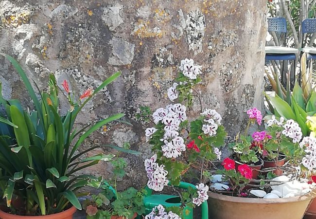 Villa in Arta - YourHouse Son Morey  Villa in Arta - YourHouse Son Morey