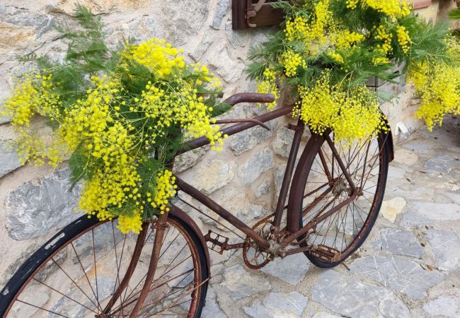 Villa in Arta - YourHouse Son Morey  Villa in Arta - YourHouse Son Morey