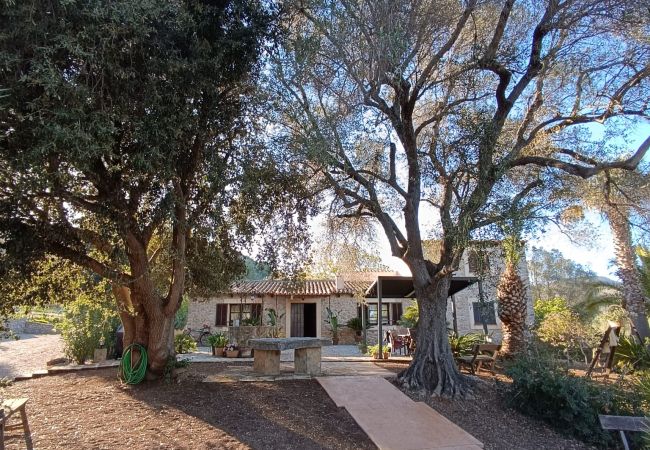 Villa in Arta - YourHouse Son Morey  Villa in Arta - YourHouse Son Morey