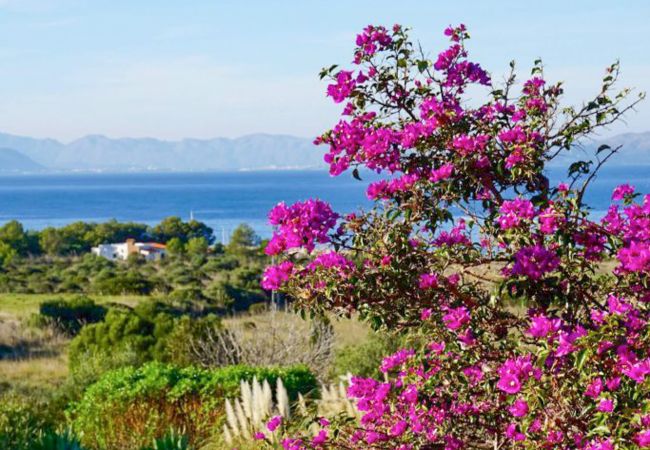 Villa in Colonia de Sant Pere - Pentinat, Villa 5StarsHome Mallorca Villa in Colonia de Sant Pere - Pentinat, Villa 5StarsHome Mallorca