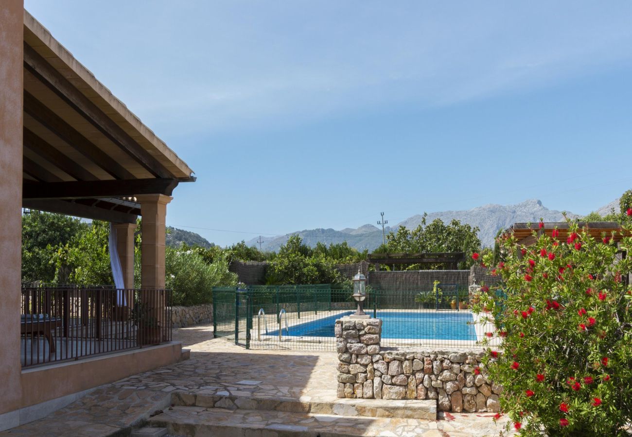 Villa in Pollensa - CAN MORO