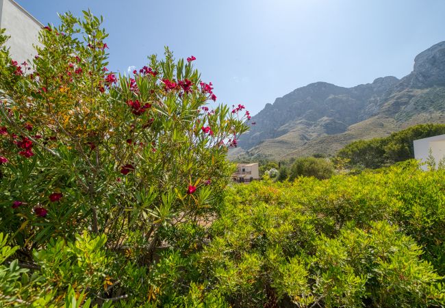 Villa in Arta - Matheo, Villa 5StarsHome Mallorca Villa in Arta - Matheo, Villa 5StarsHome Mallorca