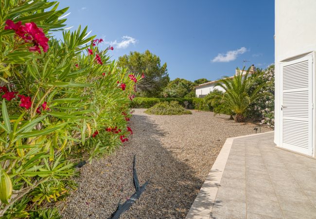 Villa in Arta - Matheo, Villa 5StarsHome Mallorca Villa in Arta - Matheo, Villa 5StarsHome Mallorca