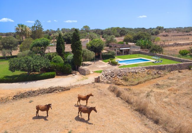 Country house in Muro - 278 Son Parera d baix ETV/1532 by Mallorca Charme Country house in Muro - 278 Son Parera d baix ETV/1532 by Mallorca Charme