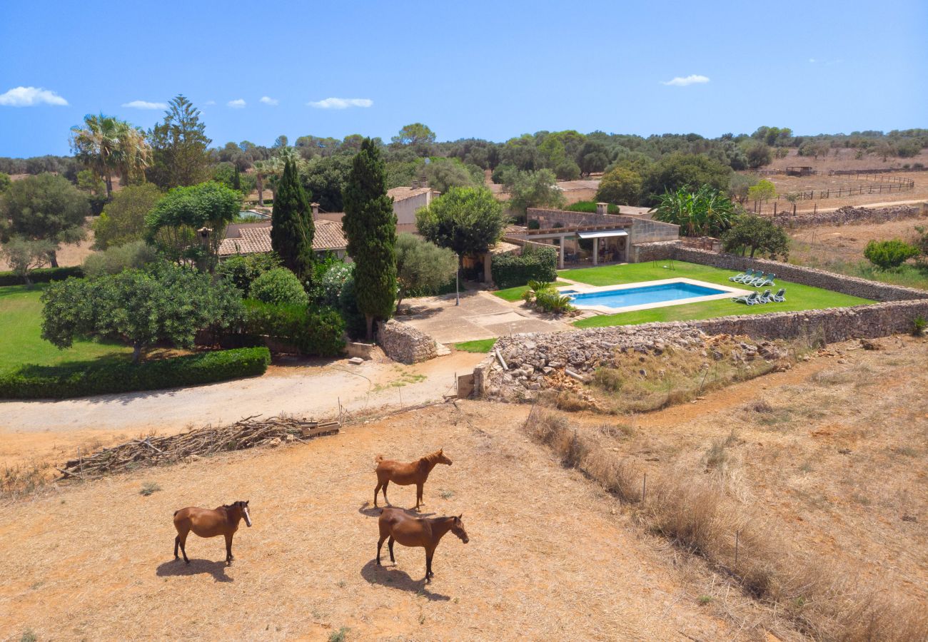 Country house in Muro - 278 Son Parera d abaix by Mallorca Charme