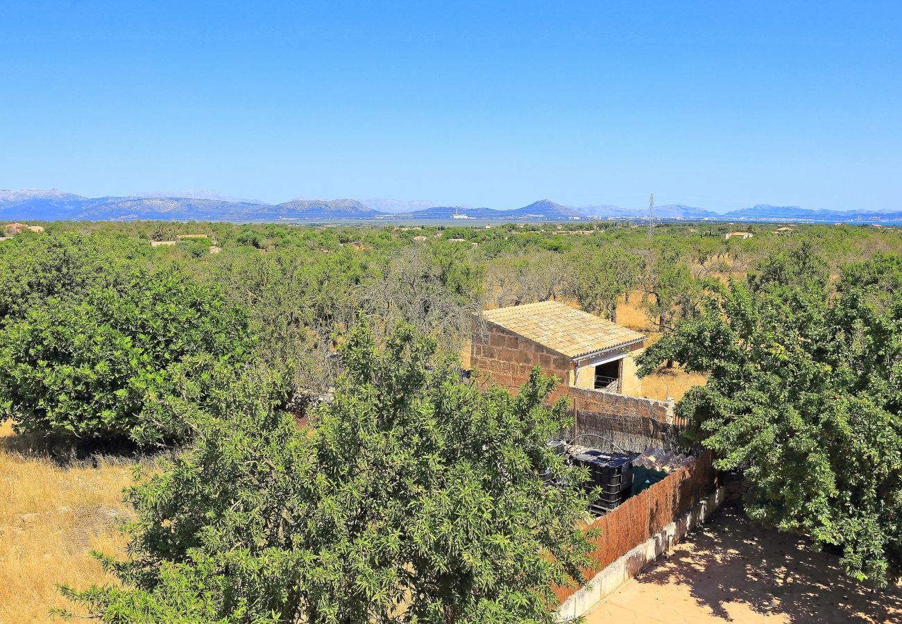 Villa in Santa Margalida - D048 Villa Vermissa by Mallorca Charme