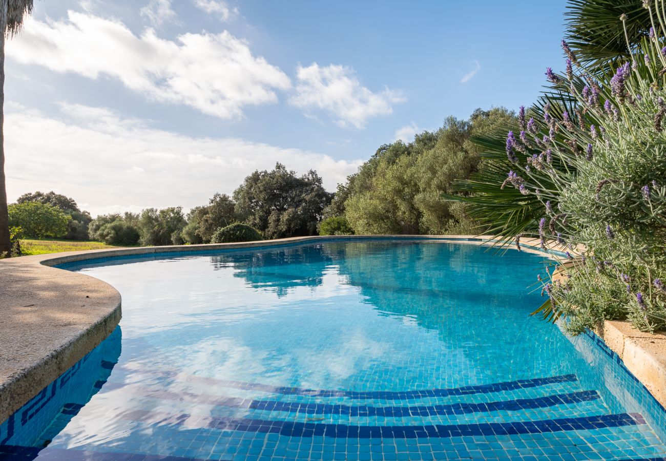 House in Felanitx - Finca Binifarda by Mallorca House Rent