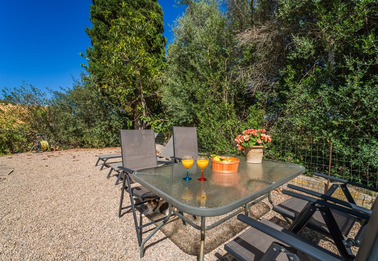 Country house in Santa Margalida - Sa Vella Capella 22 PAX, Finca 5StarsHome Mallorca