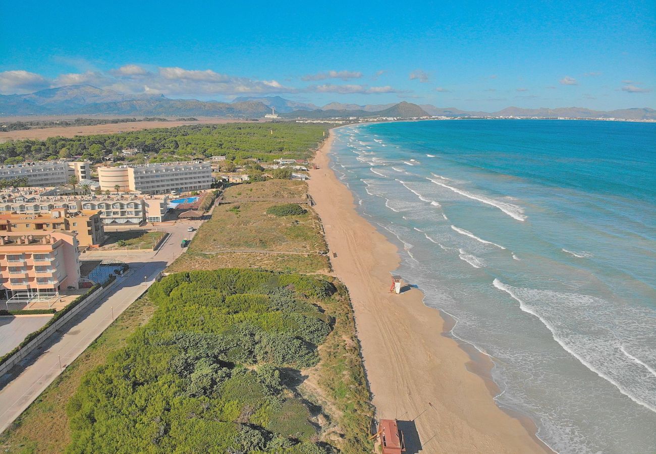 Apartment in Can Picafort - 280 Alborada ETVPL/14028 by Mallorca Charme