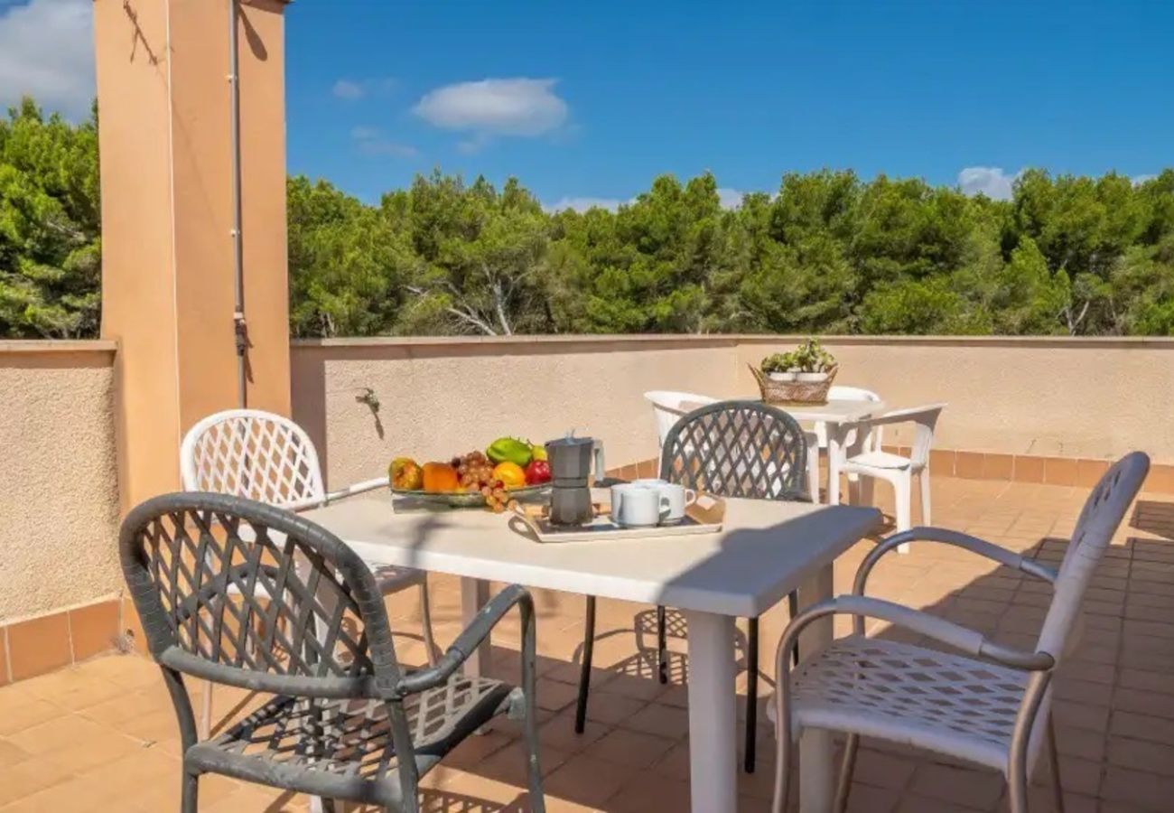 Apartment in Ca´n Picafort - Apartment Son Baulo Taronja