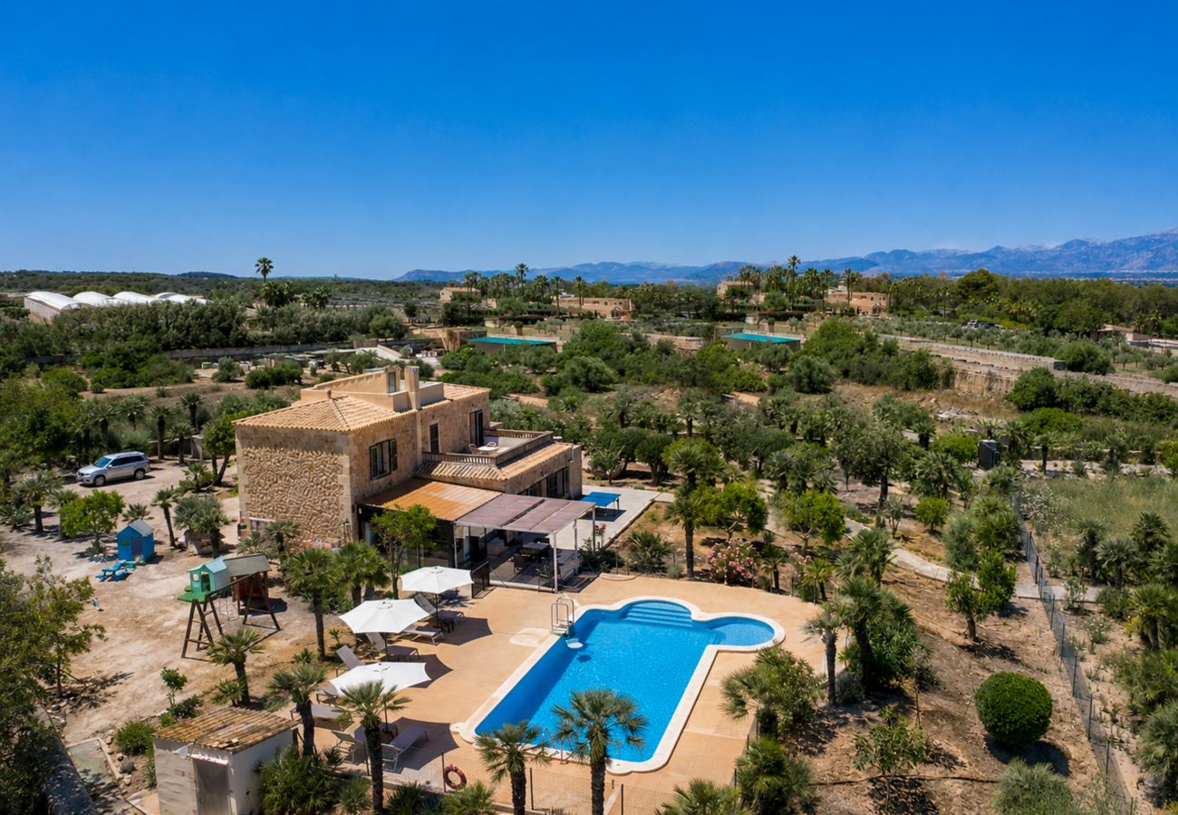 Villa in Can Picafort - 287 Palmitos 2 by Mallorca Charme