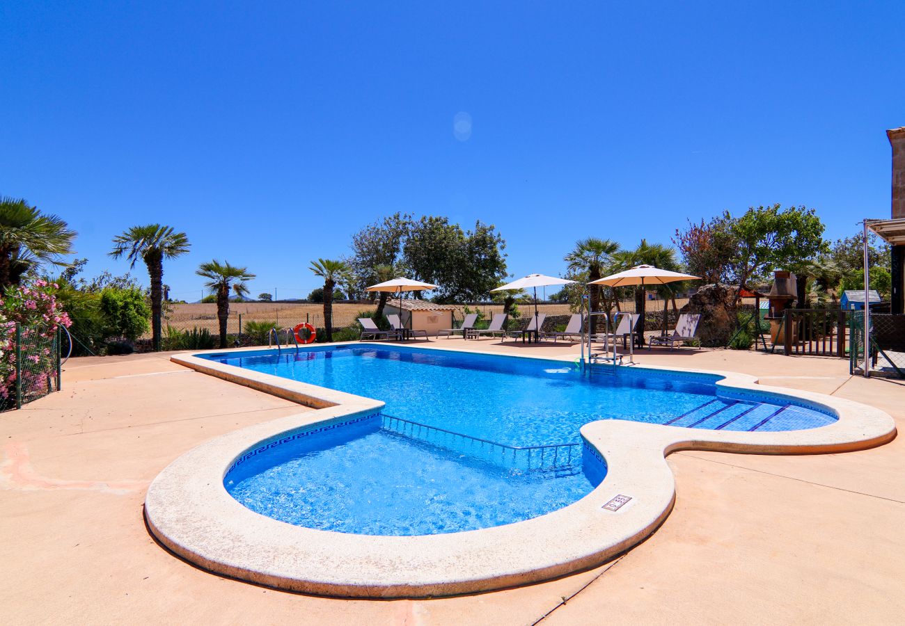 Villa in Can Picafort - 287 Palmitos 2 by Mallorca Charme