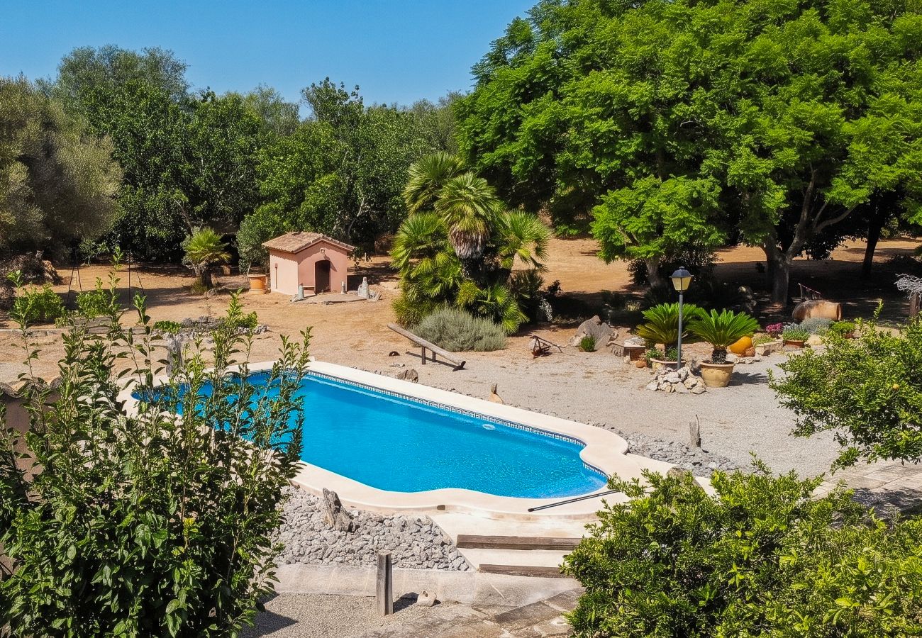 Cottage in Muro - 291 Es Moia by Mallorca Charme
